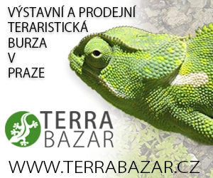 Terrabazar - Výstavní a prodejní teraristická burza v Praze s dlouholetou tradicí