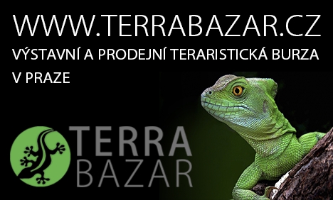 TERRABAZAR 468x282 1