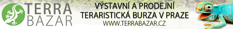 Terrabazar - Exhibition and sales terrarium marketplace in Prague with long tradition