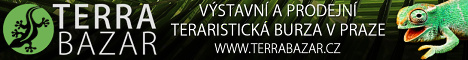 Terrabazar - Exhibition and sales terrarium marketplace in Prague with long tradition