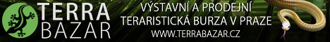 Terrabazar - Exhibition and sales terrarium marketplace in Prague with long tradition