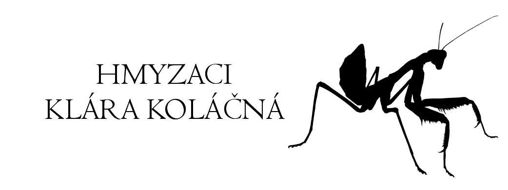 Hmyzaci Klára Koláčná